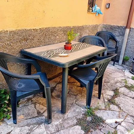 Il Giardino Delle Camelie *