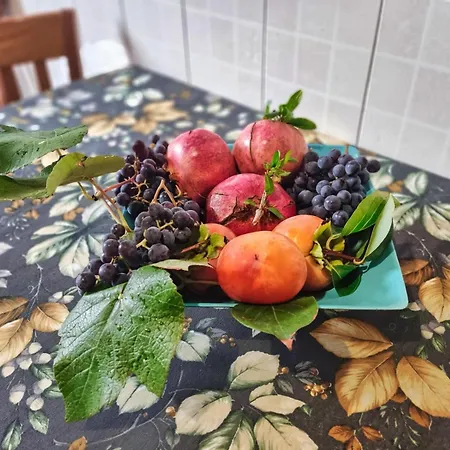 Apartment Il Giardino Delle Camelie Viterbo