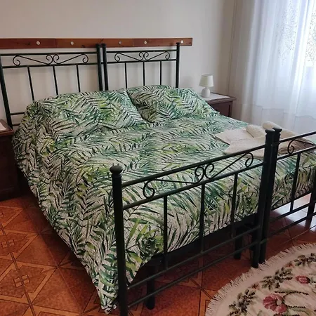 Il Giardino Delle Camelie * Viterbo